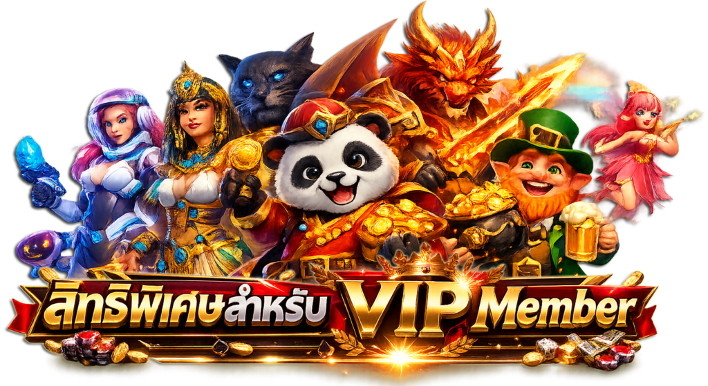 สิทธิพิเศษสำหรับ VIP Member